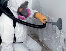 Best Mold Removal for HVAC Installations  in Rkside, PA